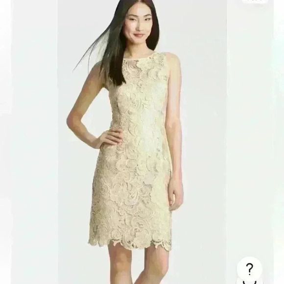 Adrianna Papell Champagne Lace Cocktail Dress - Picture 1 of 12
